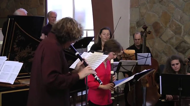 Georg Phillip Telemann, Concerto in e minor for Re...