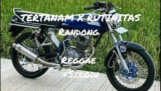 reggae terbaru TERTANAM X RUTINITAS Randong SLLOW WWW