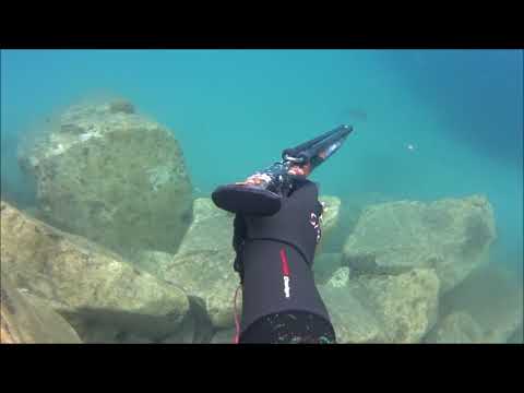 Spearfishing Sparus Aurata-Κυνηγώντας τσιπούρες