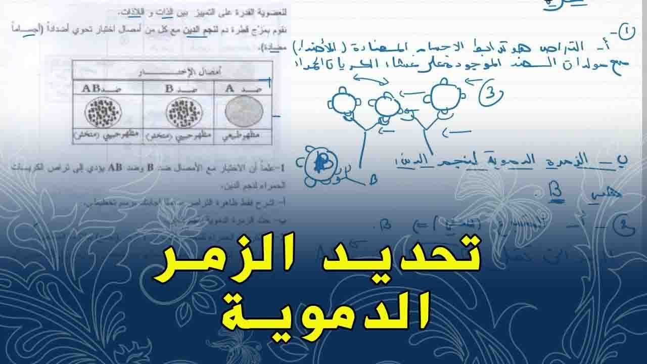 علوم طبيعية الرابعة متوسط تمرين على تحديد الزمر الدموية