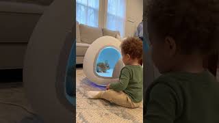 What If You Put A Toy Into This Machine And It Comes Out As A Real Bunny?