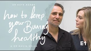 How To Keep Your Bunny Healthy - Dr David Vella & Kate Adams by Dr Kate Adams 1,043 views 6 years ago 3 minutes, 52 seconds