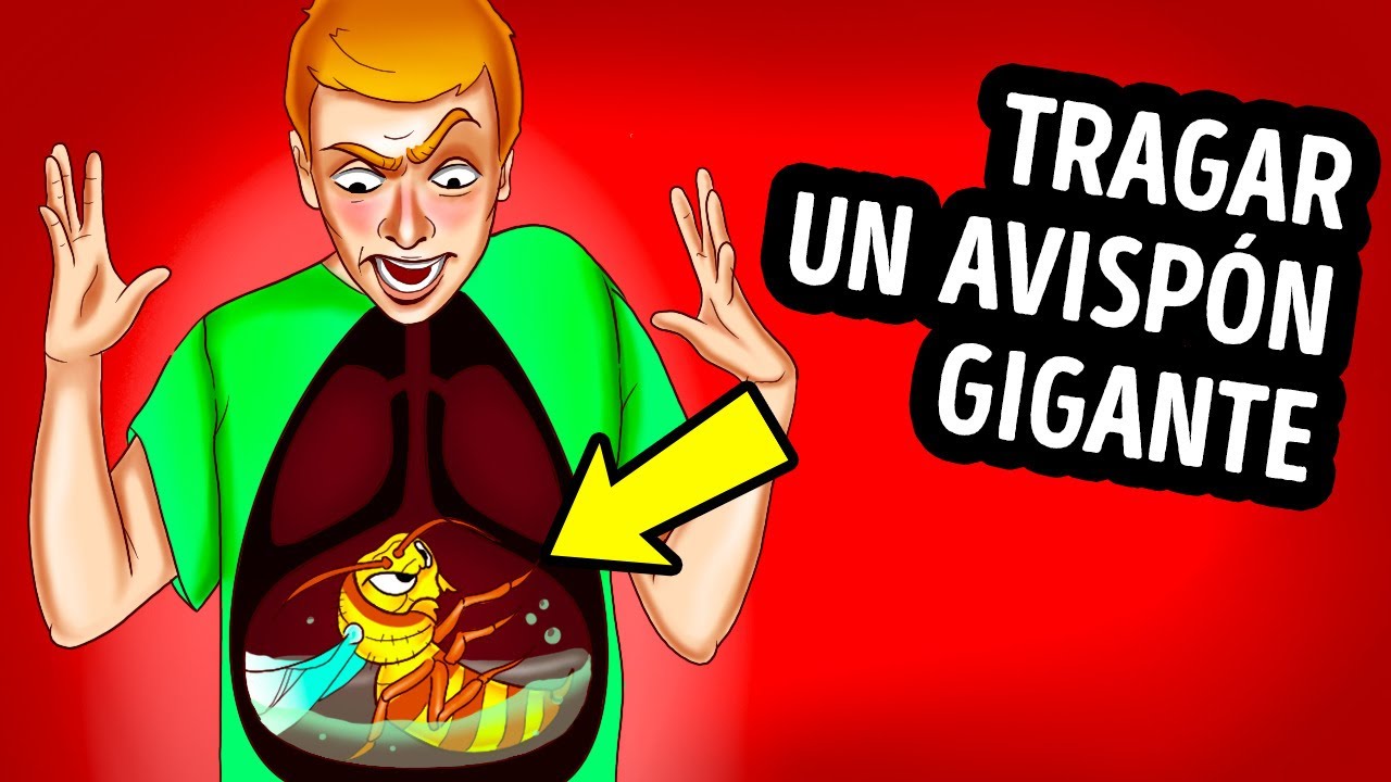 �Qu� pasa si te tragas un avisp�n y te pica?