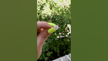 Lizzy Round Center Stone 4 Claw Prong Cathedral Engagement Ring #moissanite #engagementring