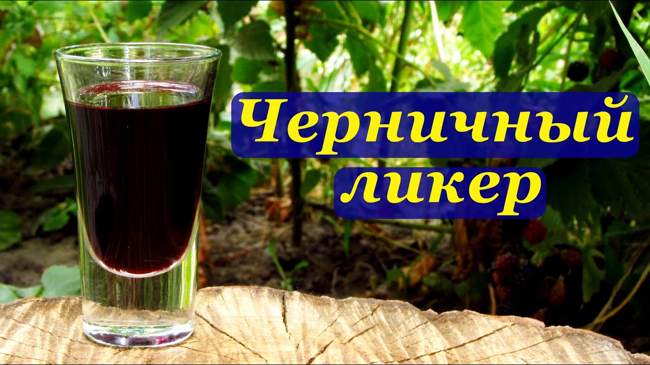 Рецепт ликера из черники в домашних условиях 85 Рецепт ликера из черники в домашних условиях 6
