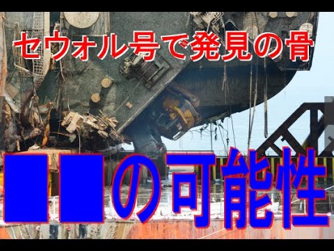 セウォル号で発見の骨は■■の可能性