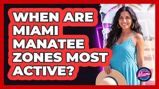 When Are Miami Manatee Zones Most Active?