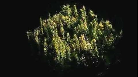 photogrammetric point cloud 2 video