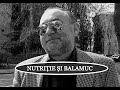 Nutriție și balamuc - pamflet cu Mihai Nae