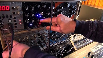 Radikal Technologies Swarm Oscillator