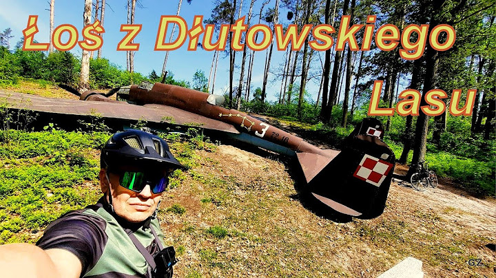 Łoś z Dłutowskiego Lasu i stare cmentarze wojenne i ewangelicki Wycieczka rowerowa w okolicach Łodzi
