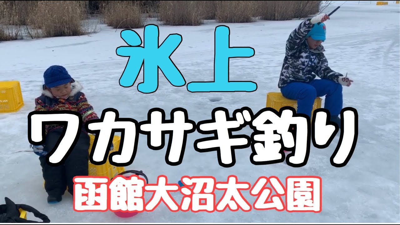 ワカサギ釣り その場で天婦羅 函館大沼太公園は何匹釣れる 北海道旅行 Youtube