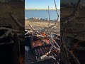 Firepit at Brached oak