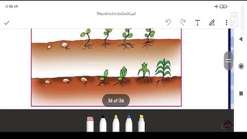 std 5|Environment around us | Ch 3 | Developmental Journey of seed  | Part 2