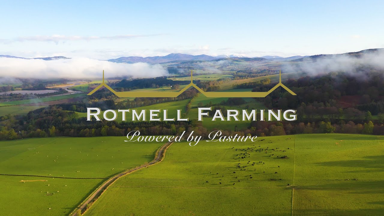 Rotmell Farming - Pure Scottish Pasture Fed Beef
