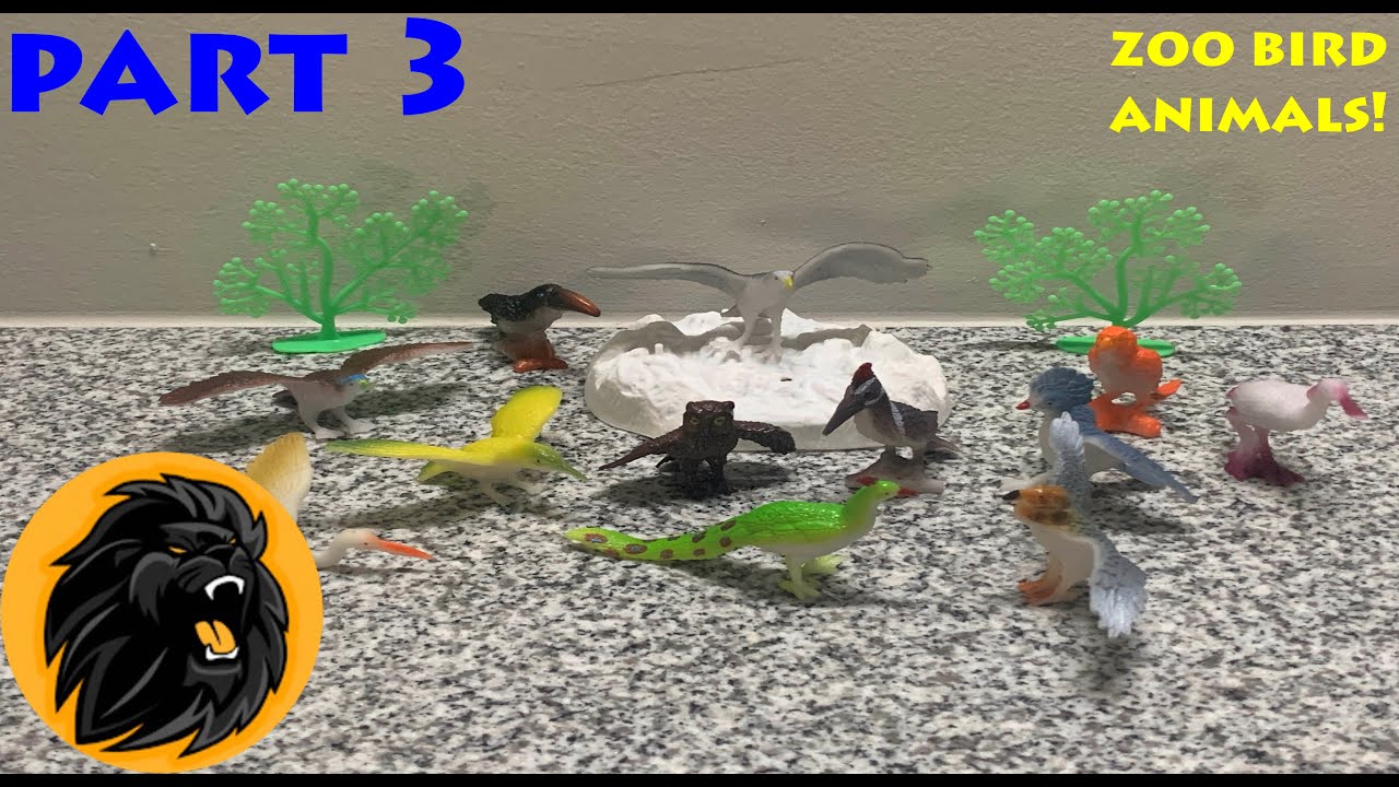 Exotic Zoo Flying Bird Toys Part 3 🦚 Peacock Woodpecker Plastic Jungle Birds Toy Animal Collection