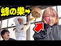 【危険】実家にスズメバチの巣があったので破壊したら妹が大変な事に…