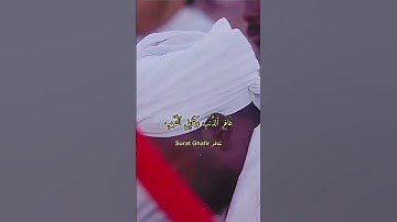سورة الغافر الشيخ نورين محمد صديق #سورة #الغافر #reels #tilawet #tiktok #viral #quran #القرآن #الله