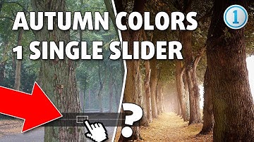 Autumn Colors With One Single Slider - Blit Capture One 10 Pro Tutorial