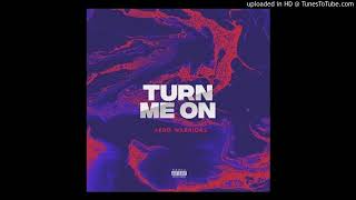 Afro Warriors -Turn Me On Audio