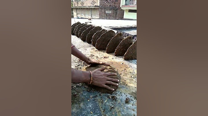 गोबर का गोइठा कैसे बनाते देखिए, गोबर का उपला ऐसे बनाते है