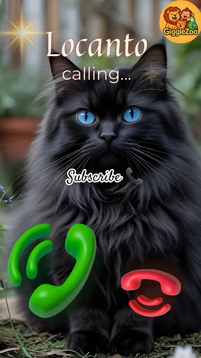 LOCANTO IS CALLING! #viralvideokids #catshorts#funnycat #cutekitten#viralshorts#shortshumor#ringtone