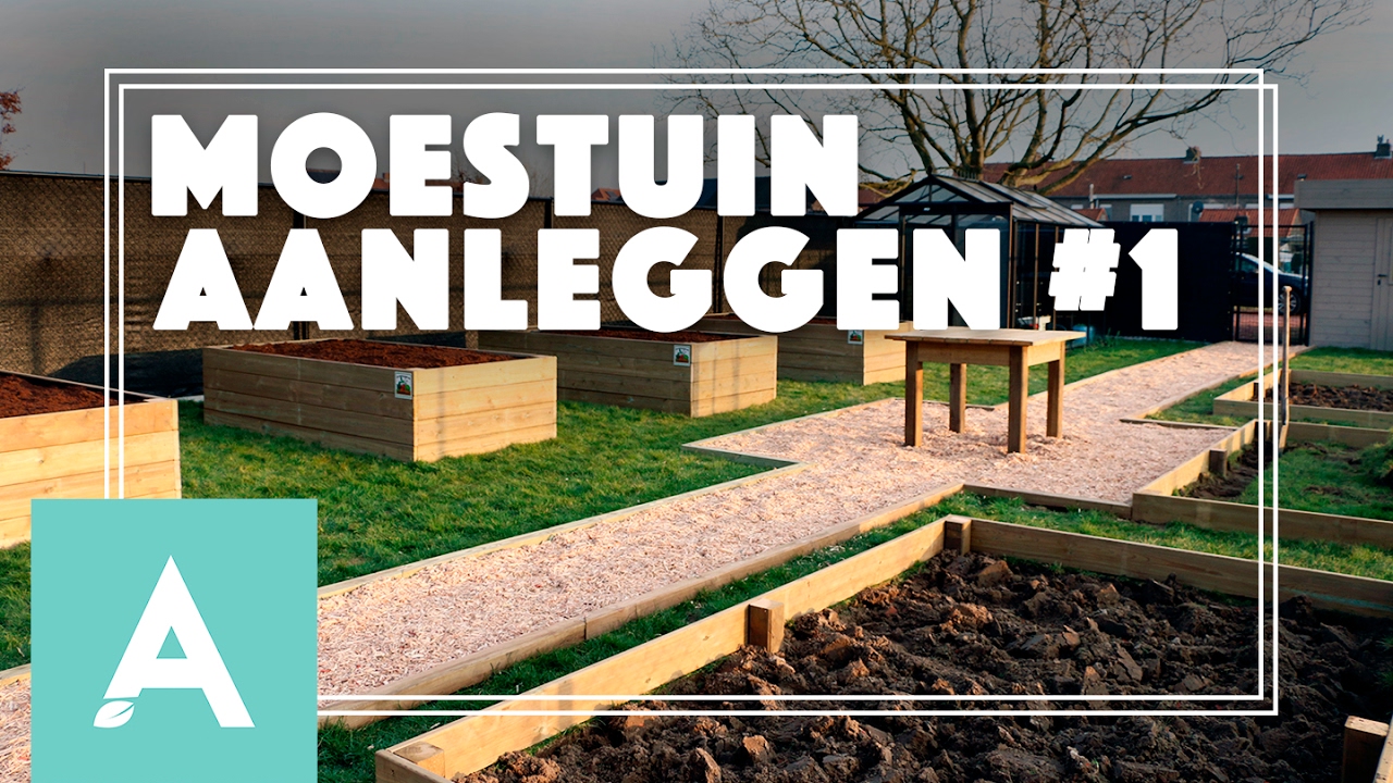 Moestuin aanleggen - Deel - Cook, Eat #6 - YouTube