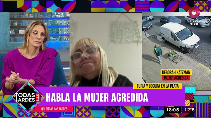 La Plata: salvaje agresin de una conductora a una ...