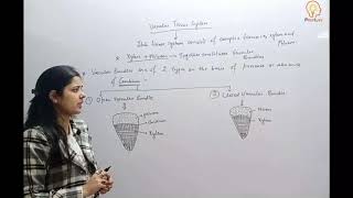 7. Vascular Tissue System (Botany) Anatomy Of Flowering Plants