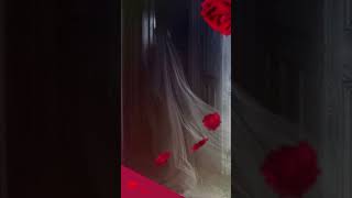 Sandra Red Queen S Lullaby