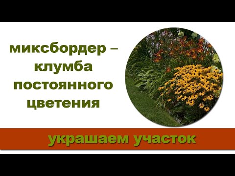 Видео: Дизайн сада на островной клумбе: как сделать островную клумбу