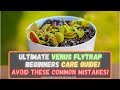 Venus Flytrap Care 101 For Beginners: How To Repot A Lowes Venus Flytrap - Common Mistakes To Avoid!