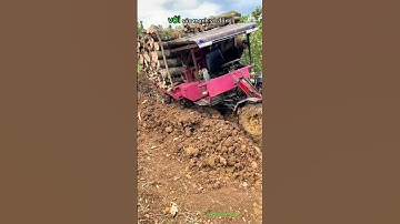 Xe công nông mạnh mẽ kéo củi qua đoạn đường lầy lúng