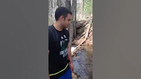 Christopher Creek near Payson, AZ