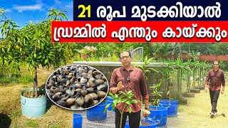 21 രൂപ മുടക്കിയാല്‍ എന്തും ഡ്രമ്മില്‍ കായ്പ്പിക്കാം | ഫല വൃക്ഷങ്ങളും, ചെടികളും നിറയെ കായ്ക്കും