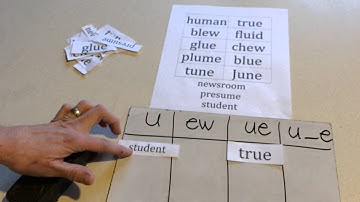 spelling sorts