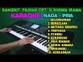 DANGDUT PILIHAN - Rhoma Irama - KARAOKE Nada Pria, HD