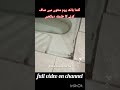 how to clean bathroom tiles#bathroomcleaning #shortsfeed #shortvideo #shorts