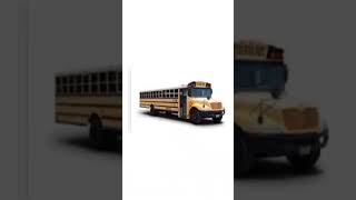 Why are SCHOOL BUSES so Safe