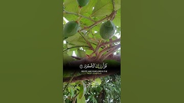 عن النبي ﷺ: "من قرأ سورة العلق أعطي من الأجر كأنما قرأ المفصل كله". #المصحف #الله
