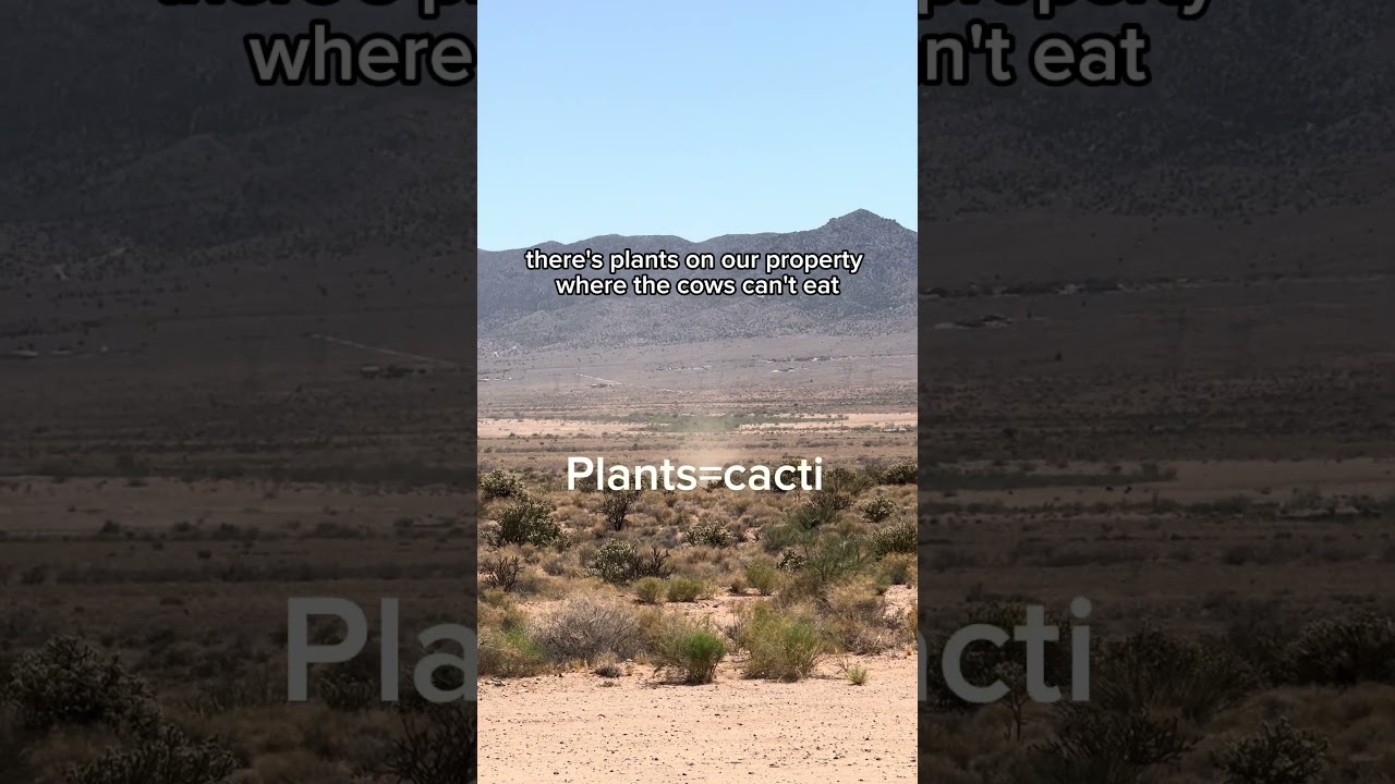 We Watch a Dust Devil Come Get Us