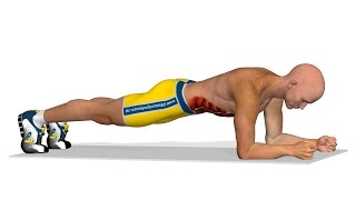 Plank :عضلة البطن