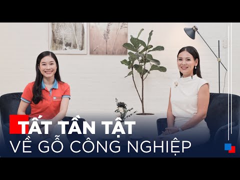 Video Gỗ An Cường | Hỏi Đáp Về Gỗ Công Nghiệp - youtube