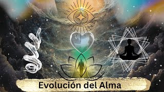 Densidades y la EVOLUCIÓN del ALMARA, La Ley del Uno☯