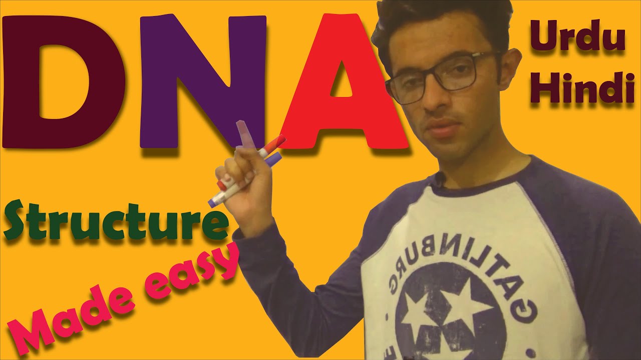 DNA structure [dna] | watson and crick model | dna in hindi | dna in urdu