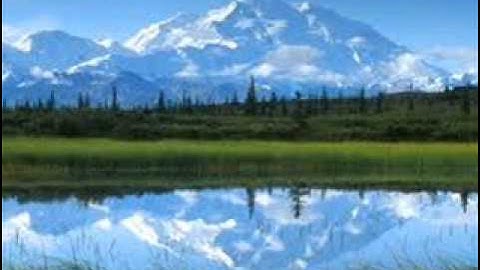 الجزء الثامن من القرآن الكريم - للشيخ عبد الله عليوة