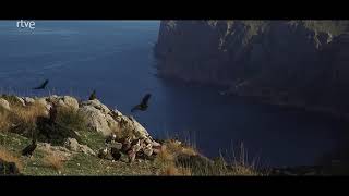 Documental "Islas Baleares, El archipiélago indómito"