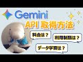 【2025年8月】Gemini APIキー取得方法を解説！料金、利用制限、データ学習についても詳しく解説