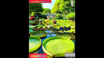 #Tilawat-e-Quran/ #Surah Al-ikhlas with Urdu Translate"تلاوت#/القرآن الكريم/#سورةالإخلاص