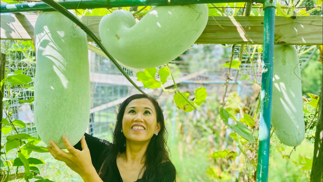 Khmer Monk’s Garden At Maryland Buddhist Temple With Somaly Khmer Cooking & Lifestyle